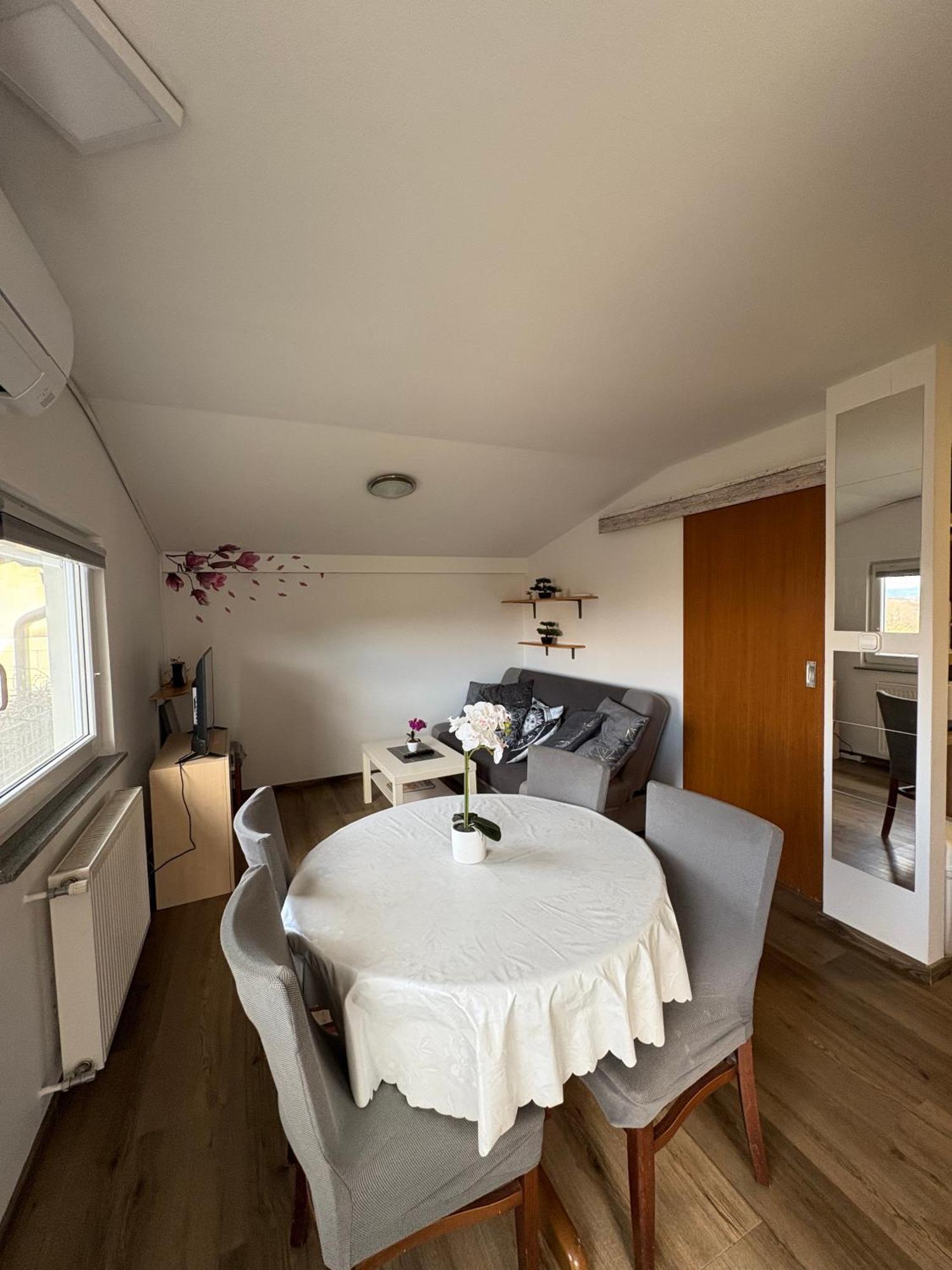 Apartma Vinko *