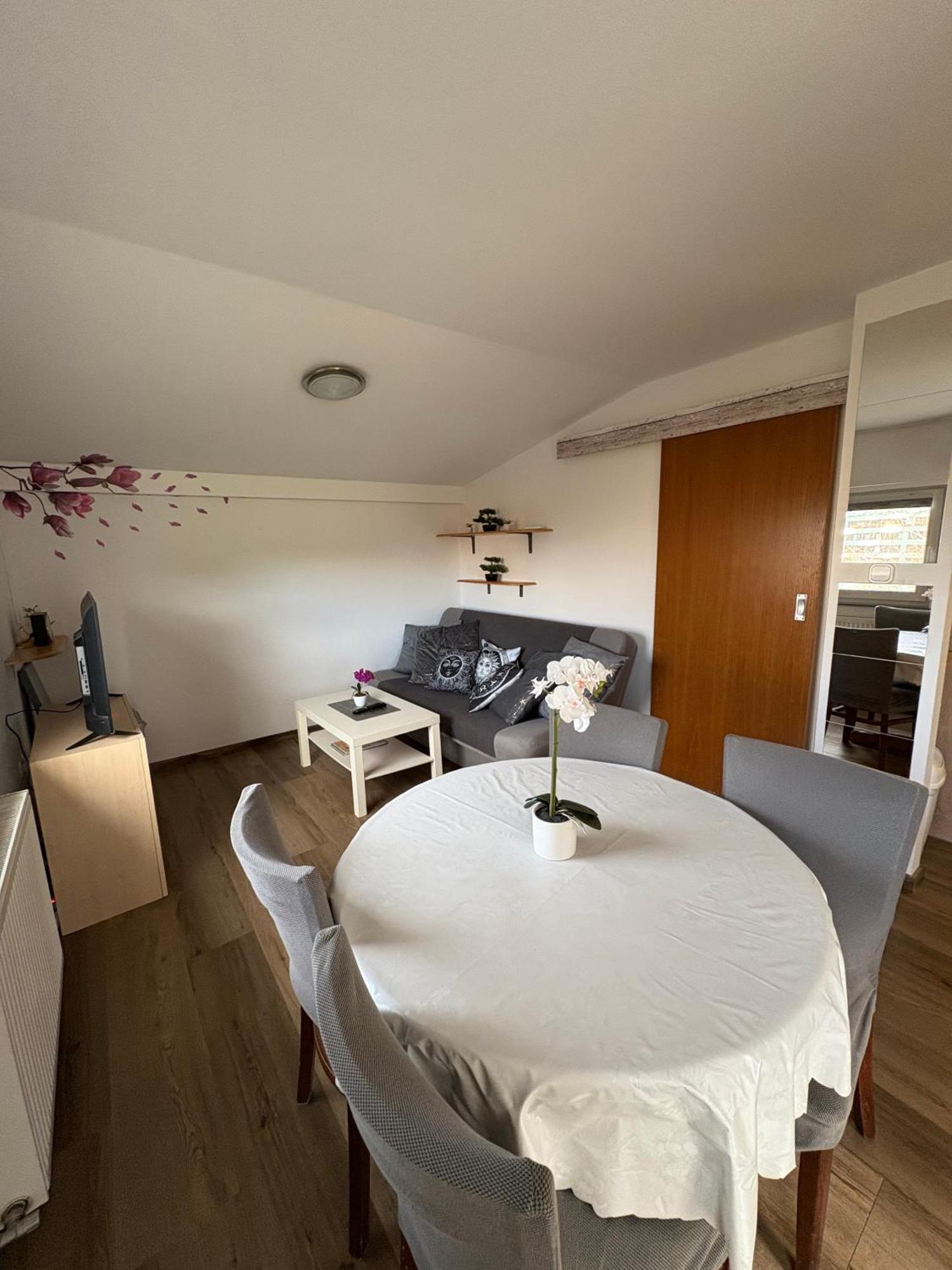Appartamento Apartma Vinko *